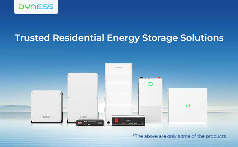 zamon energy products dyness